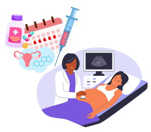 Surrogacy Embryo Transfer Phase Albany NY