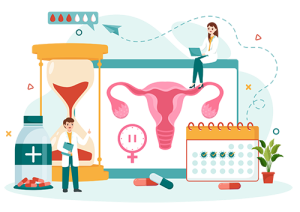 Intended Parents Embryo Transfer Phase Albany NY