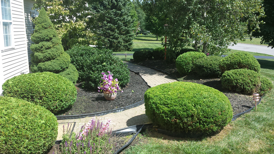 Winnie's Lawn Care Hedges Mowing Service Saratoga Clifton Park
