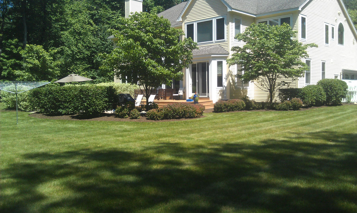 Winnie's Lawn Care Hedges Mowing Service Saratoga Clifton Park