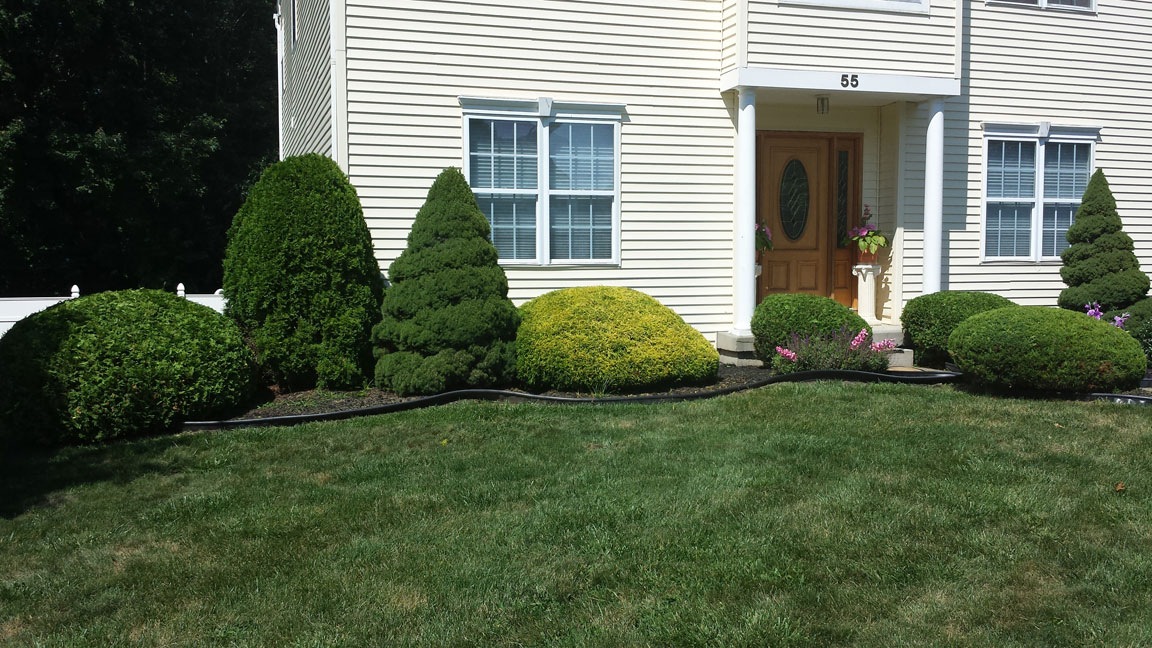 Winnie's Lawn Care Hedges Mowing Service Saratoga Clifton Park
