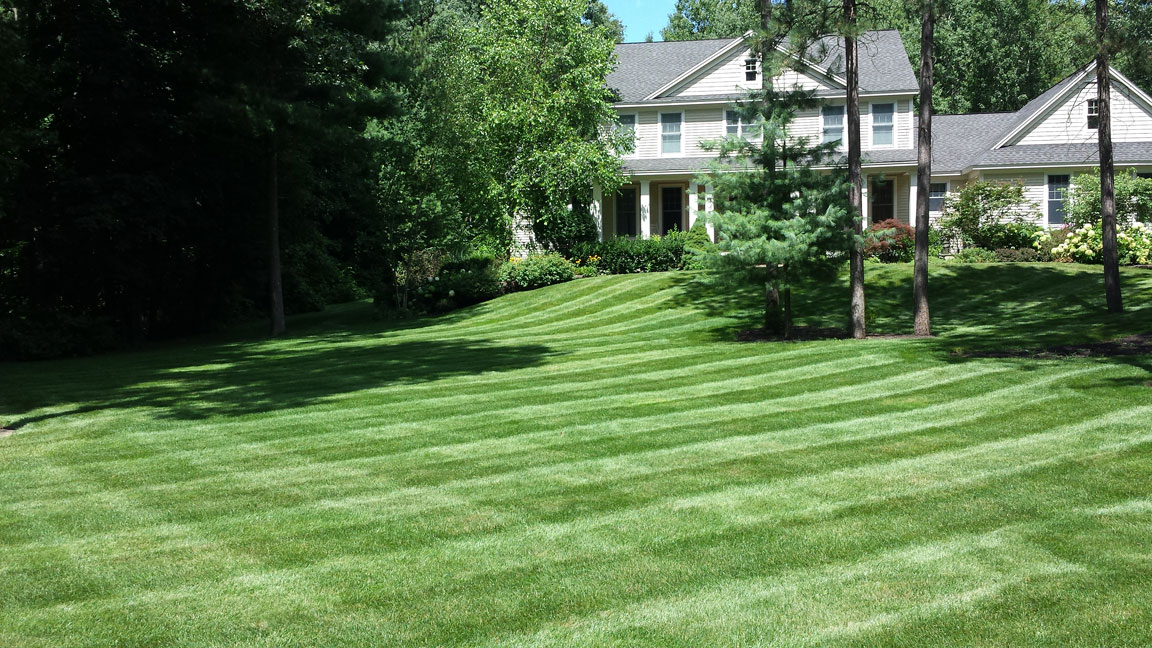 Winnie's Lawn Care Mowing Service Saratoga Clifton Park