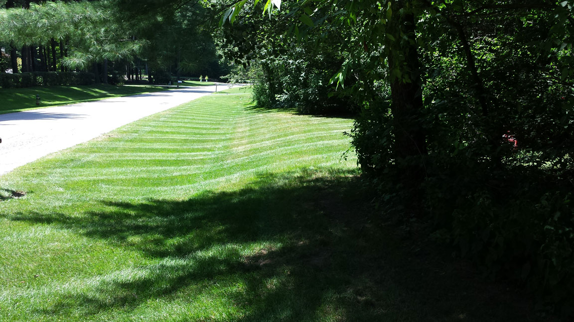 Winnie's Lawn Care Mowing Service Saratoga Clifton Park