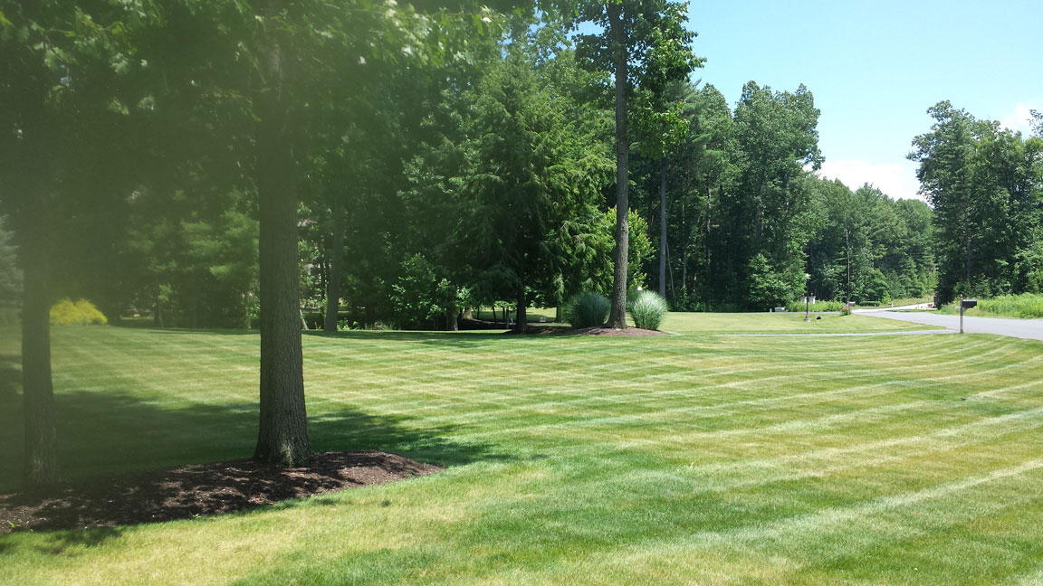 Winnie's Lawn Care Mowing Service Saratoga Clifton Park