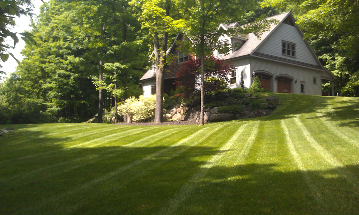 Winnie's Lawn Care Mowing Service Saratoga Clifton Park