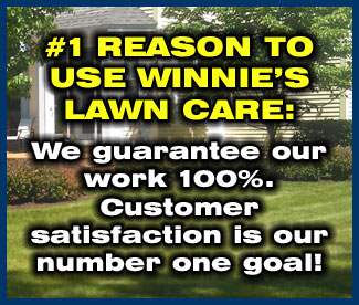 Winnie's Lawn Care Mowing Service Saratoga Clifton Park