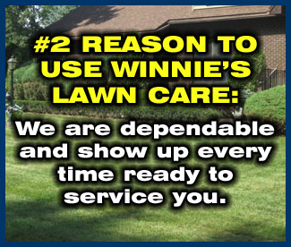 Winnie's Lawn Care Mowing Service Saratoga Clifton Park