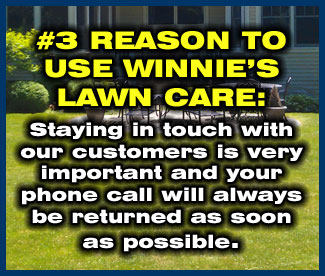 Winnie's Lawn Care Mowing Service Saratoga Clifton Park