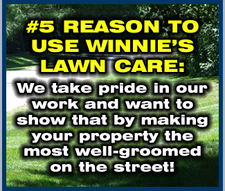 Winnie's Lawn Care Mowing Service Saratoga Clifton Park
