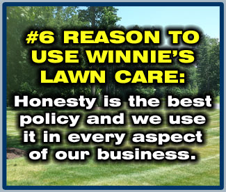 Winnie's Lawn Care Mowing Service Saratoga Clifton Park