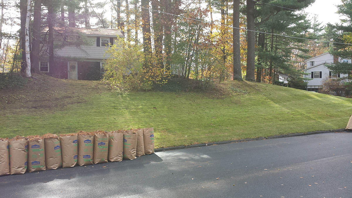 Fall Yard Clean Up Services Clifton Park Saratoga Hauled Away Leaves