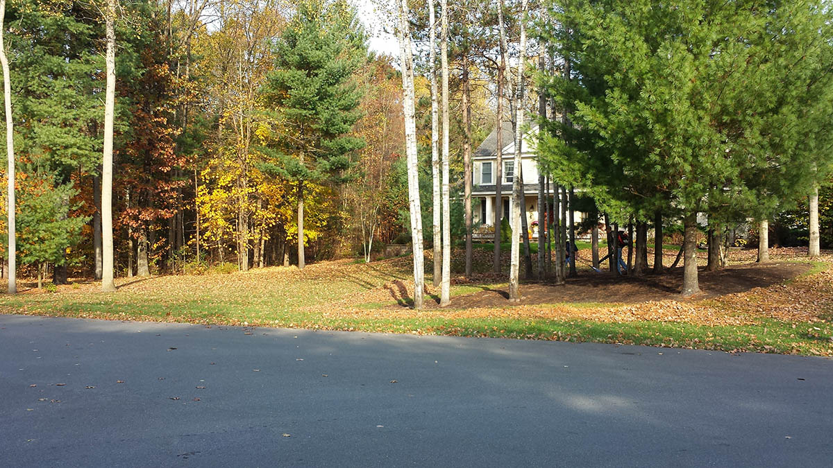 Fall Yard Clean Up Services Clifton Park Saratoga Hauled Away Leaves