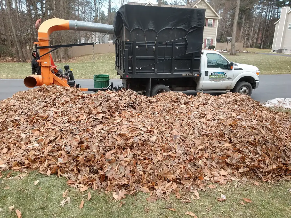 Fall Yard Clean Up Services Clifton Park Saratoga Hauled Away Leaves