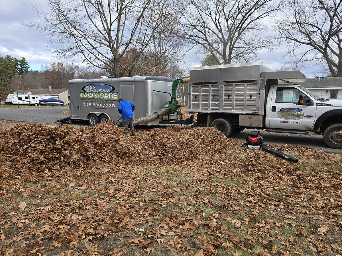 Fall Yard Clean Up Services Clifton Park Saratoga Hauled Away Leaves