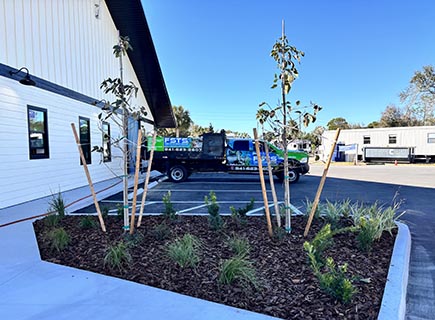 Lawn Care Tree Service Landscaping Hardscapes Curbing Lighting