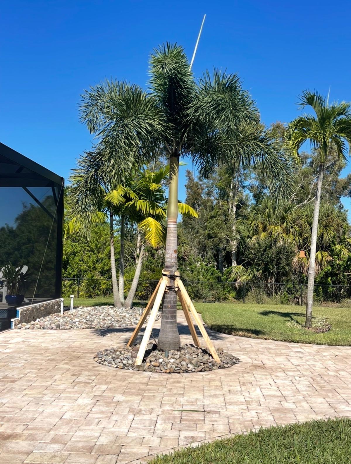 Tree Service Lawncare Property Maintenance Port Charlotte Punta Gorda FL