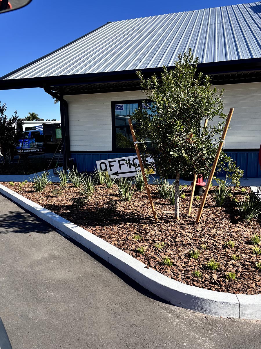 Florida State Curbing Tree Landscaping Service Port Charlotte Punta Gorda