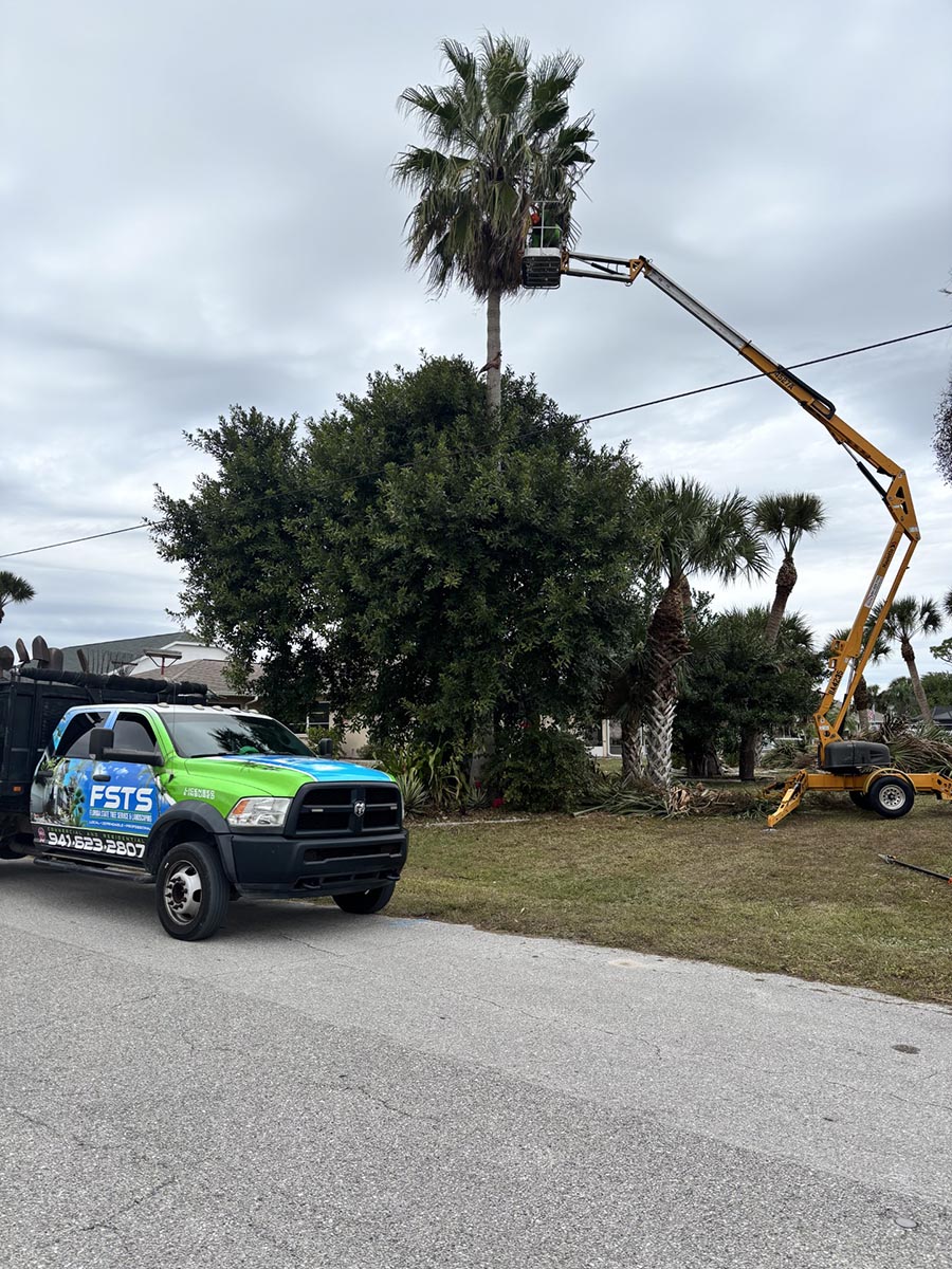 Tree Service Lawncare Property Maintenance Port Charlotte Punta Gorda FL